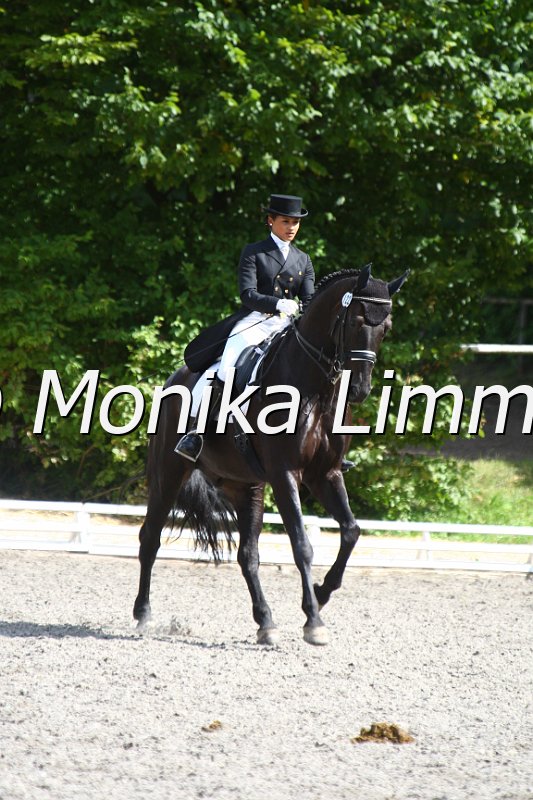 009M6592_Rossini_Dressur Sx.JPG